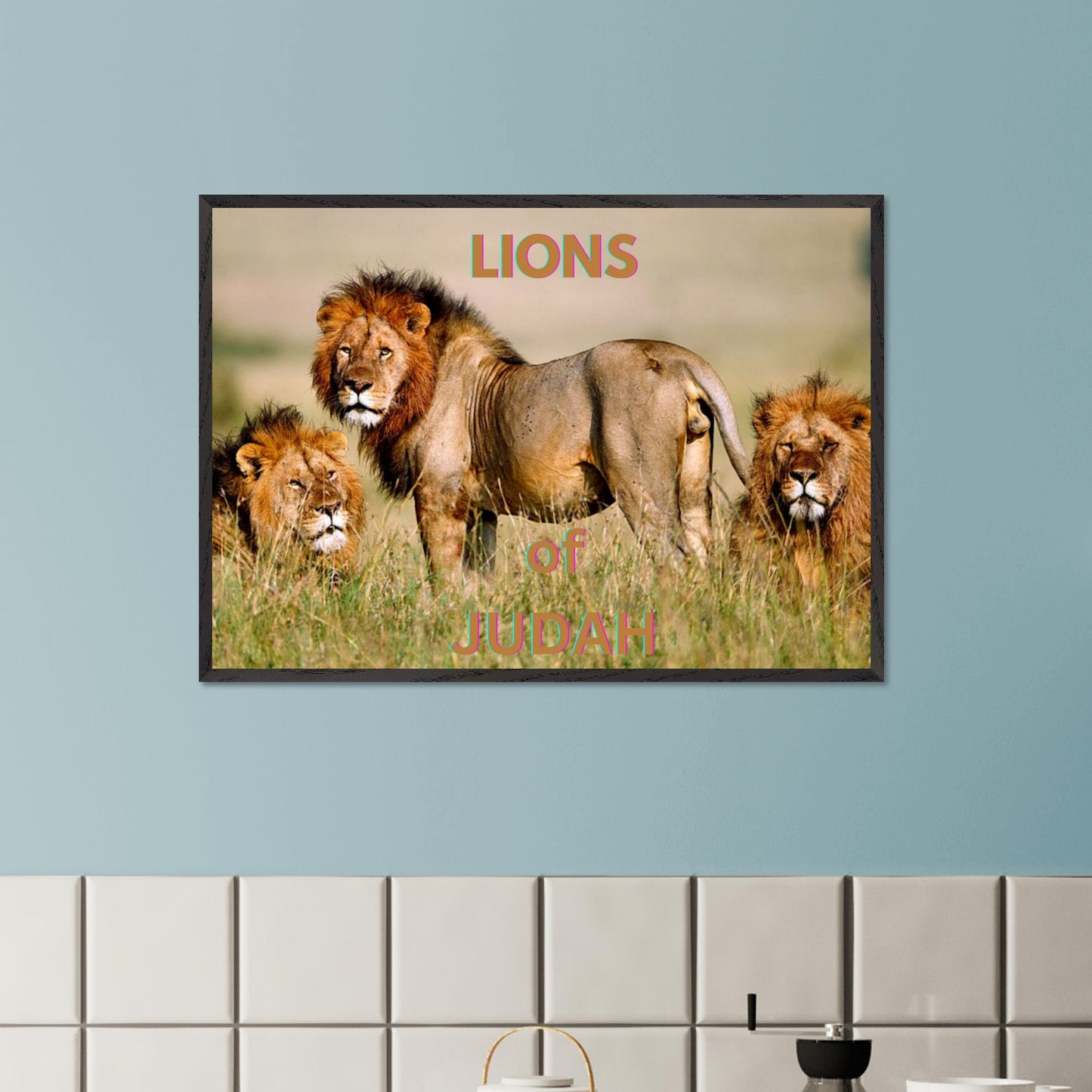 11f0776a-7ede-41aa-9e6b-2391d587562a